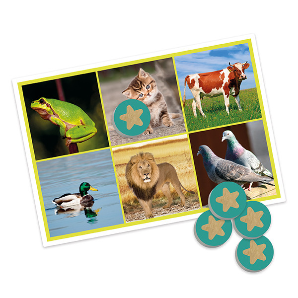 Bingo:  animali e la natura